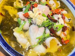 特色酸菜鱼-椿不老