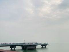 -深圳湾公园(南山区)