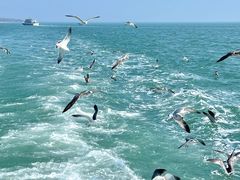 -石岛赤山风景区