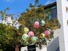 -玛利娅蒙特梭利双语幼儿园·托育(百家湖直营园)