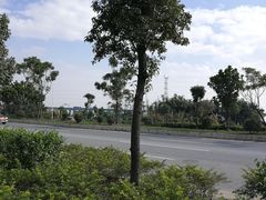 -化龙驾考场