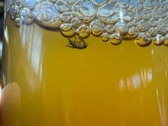 -许老八包子铺羊汤馆(绿地世纪城店)