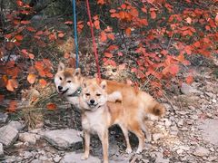 -龙洞风景区-藏龙涧