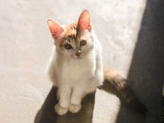 -五月木作·DIY木作文创体验店(北京路店)