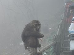 -峨眉山风景名胜区