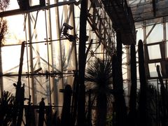 环境-北京植物园-展览温室