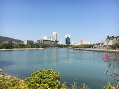 景点-白鹭洲公园