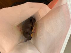 -上海哈尔滨食品厂(淮海中路店)