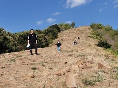-梨木台悦来客农家院