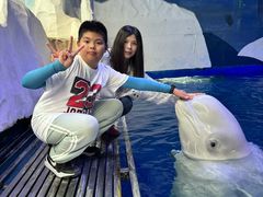 -秦皇岛乐岛海洋王国