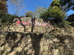 -塔川景区