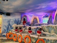 -帝企鹅自助餐厅•儿童岛•真企鹅(长隆企鹅酒店)