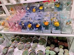 -KKV(深圳宏发大仟里店)