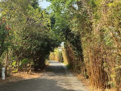-华侨城湿地公园