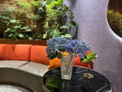 -花隐·美芙炫海菲秀皮肤管理中心