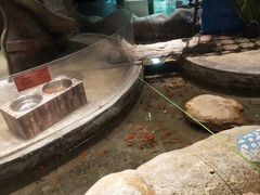 -zoonana室内动物园(东方福来德店)