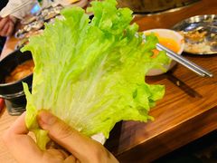 生菜-香猪坊(五道口店)