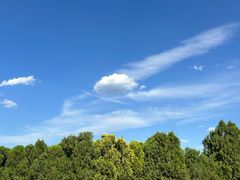 -四门塔风景区