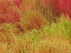 -汉长安城未央宫国家考古遗址公园