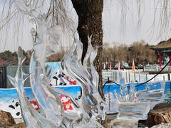 -长春市南湖公园