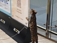 -KK ONE(京基滨河时代店)