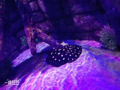 -沈阳海洋探索中心