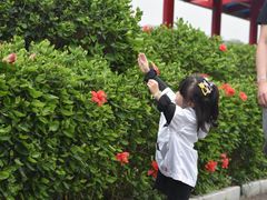 -东部华侨城