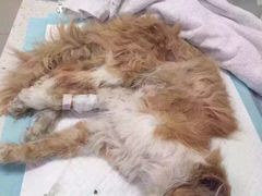 盛京一禾-盛京一禾