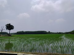 -嘉北郊野公园