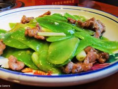 -厨道重庆菜馆(鸳鸯店)