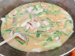-鸭嘴鱼