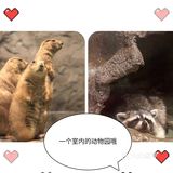 这是一家可以带孩子去参观的室内动物园