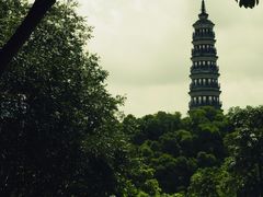 -顺峰山公园