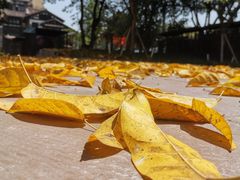 -东水门老街