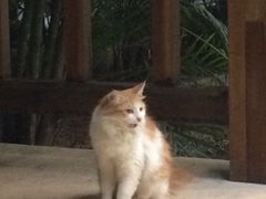 -龙达温泉生态城