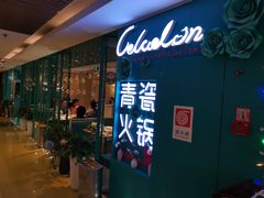-青瓷火锅料理(西单大悦城店)