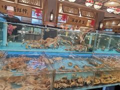 水产区-宴西湖(滨湖公园店)