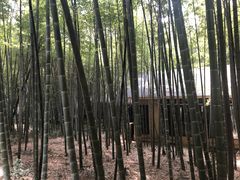 -苏州环秀晓筑养生度假村