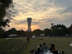 -上海滨江森林公园