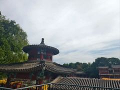 -皇家御河游(紫御湾码头)