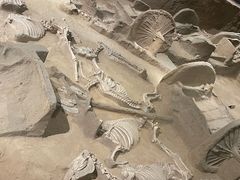 -洛阳周王城天子驾六博物馆