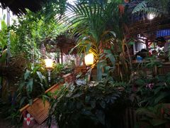 -Jungle Kitchen