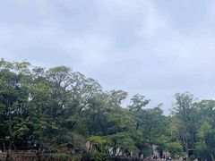 -韶山毛泽东同志故居