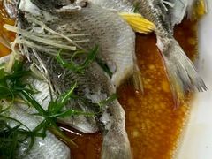 -八仔大富楼·河鲜(西江店)