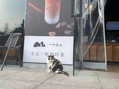 -一叶觅山(半边街店)