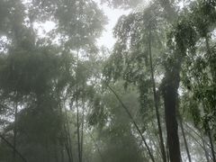 -西湖风景区十里琅珰-五云山