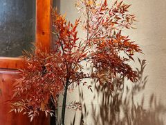 -567·密室逃脱(大良店)