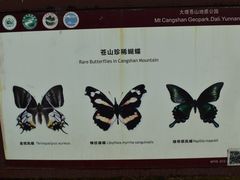 -蝴蝶泉公园