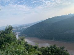 -铁山坪森林公园