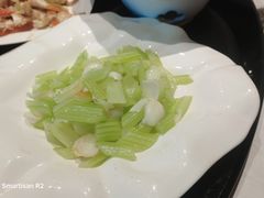 -宛平九号